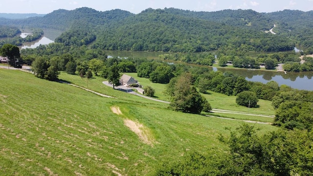0000 Felps Ln, Gainesboro, TN 38562 - photo 12