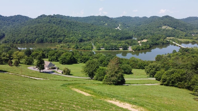 0000 Felps Ln, Gainesboro, TN 38562 - photo 11