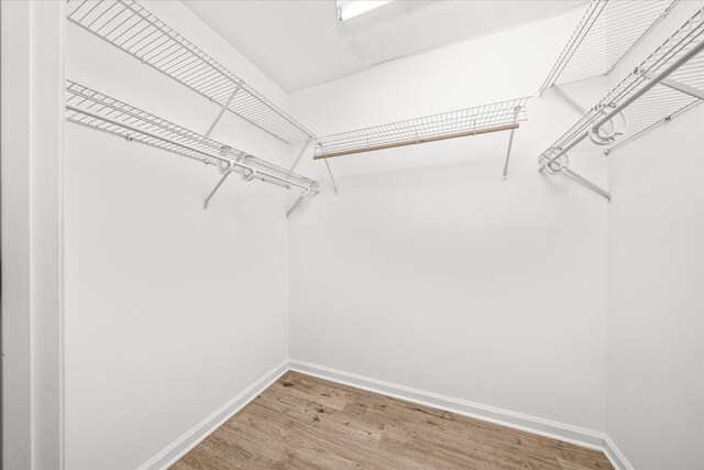 walk in closet with wood finished floors