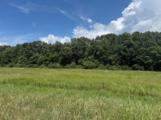 3473 N Grundy Quarles Hwy, Gainesboro, TN 38562 - photo 8