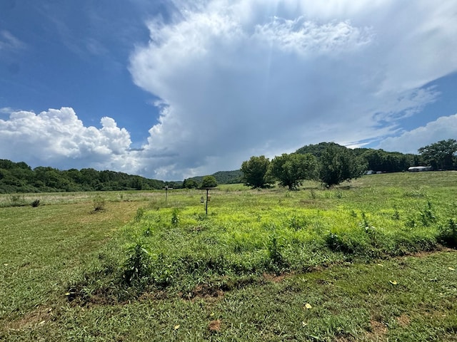 3473 N Grundy Quarles Hwy, Gainesboro, TN 38562 - photo 18