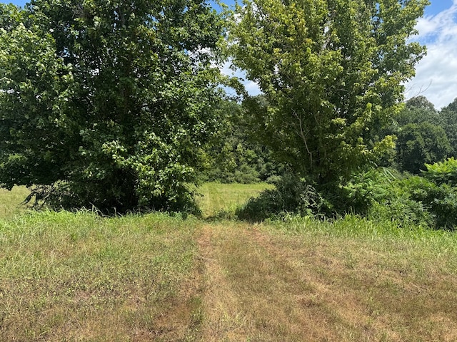 3473 N Grundy Quarles Hwy, Gainesboro, TN 38562 - photo 11