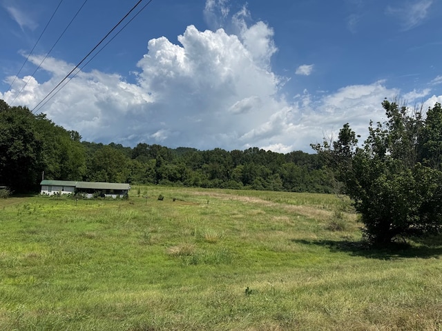 3473 N Grundy Quarles Hwy, Gainesboro, TN 38562 - photo 16