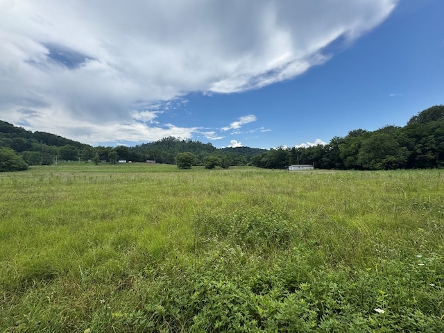3473 N Grundy Quarles Hwy, Gainesboro, TN 38562 - photo 23