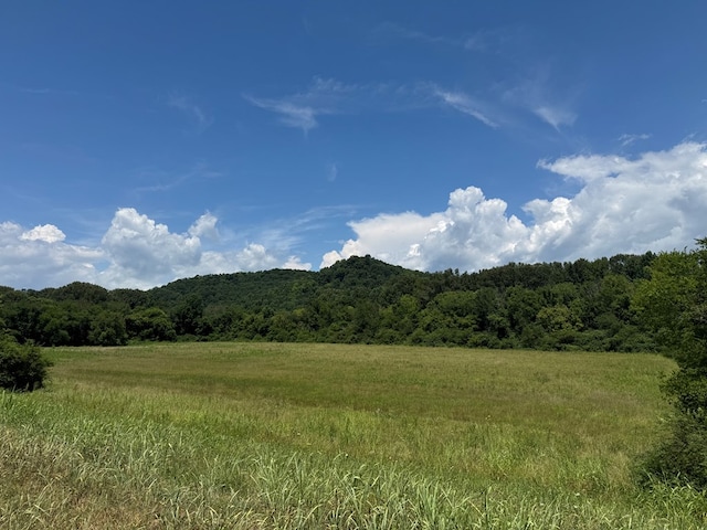 3473 N Grundy Quarles Hwy, Gainesboro, TN 38562 - photo 4