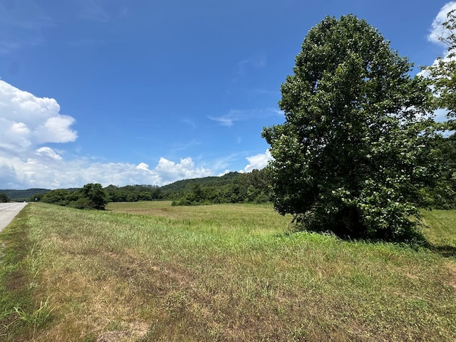3473 N Grundy Quarles Hwy, Gainesboro, TN 38562 - photo 7