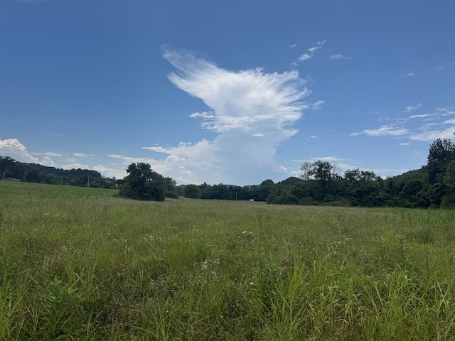 3473 N Grundy Quarles Hwy, Gainesboro, TN 38562 - photo 24