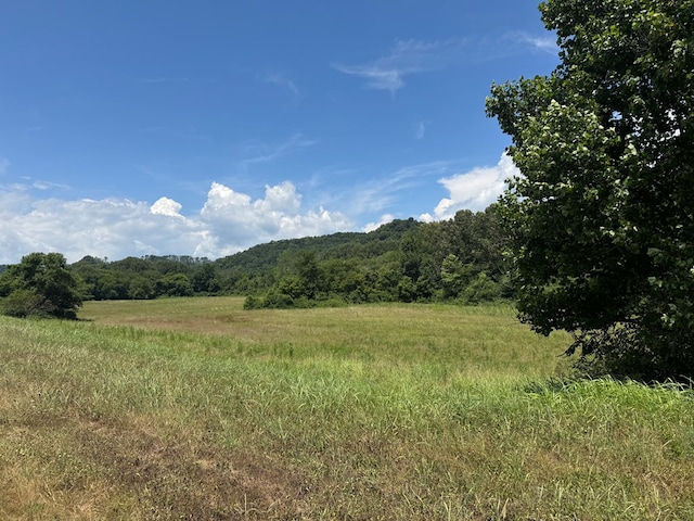 3473 N Grundy Quarles Hwy, Gainesboro, TN 38562 - photo 6
