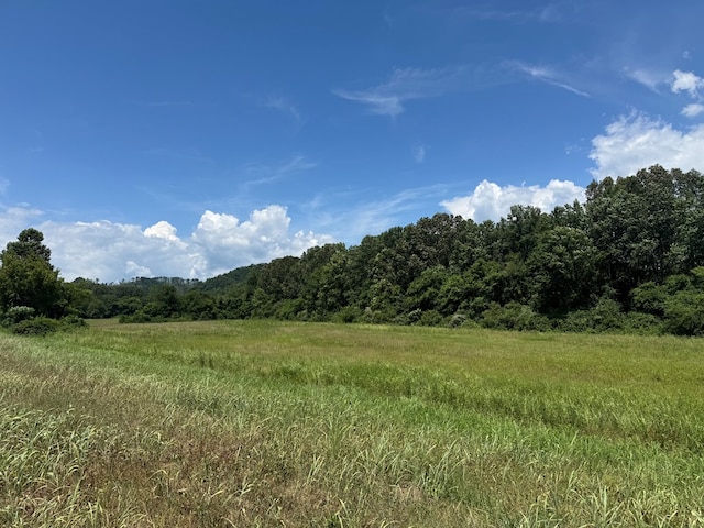3473 N Grundy Quarles Hwy, Gainesboro, TN 38562 - photo 9