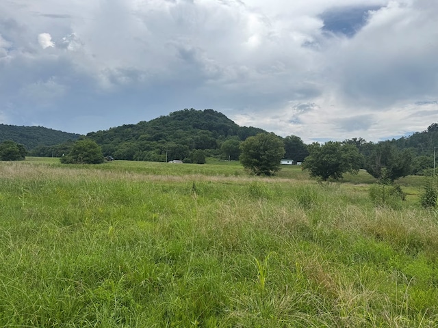 3473 N Grundy Quarles Hwy, Gainesboro, TN 38562 - photo 25