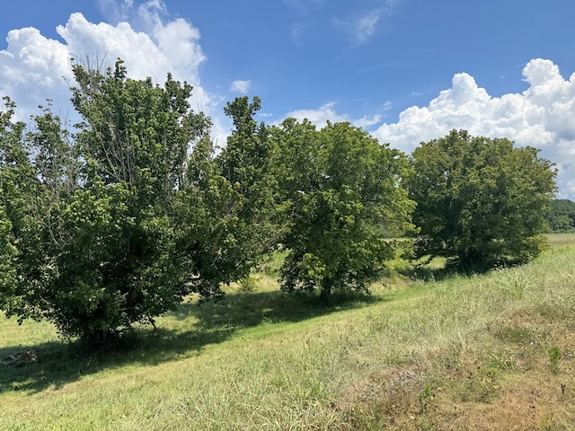 3473 N Grundy Quarles Hwy, Gainesboro, TN 38562 - photo 14