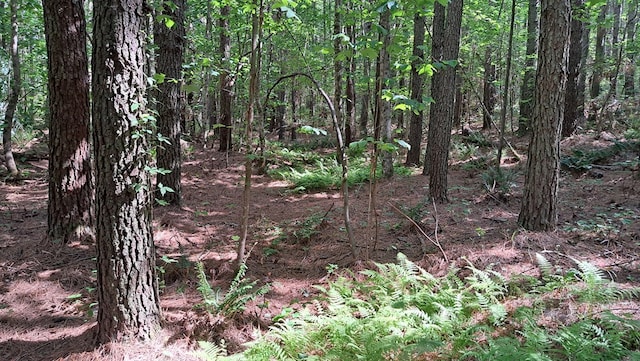 TRACT13 Airport Rd, Piney Creek Acres, Rockwood, TN 37854 - photo 2
