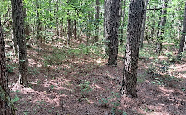 TRACT13 Airport Rd, Piney Creek Acres, Rockwood, TN 37854 - photo 12