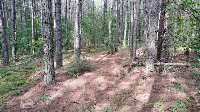 TRACT13 Airport Rd, Piney Creek Acres, Rockwood, TN 37854 - photo 11
