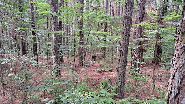 TRACT13 Airport Rd, Piney Creek Acres, Rockwood, TN 37854 - photo 16