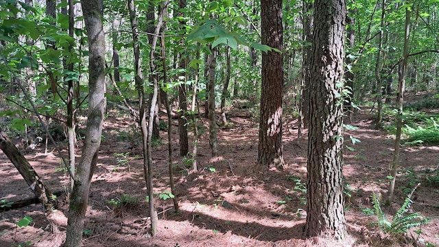 TRACT13 Airport Rd, Piney Creek Acres, Rockwood, TN 37854 - photo 1