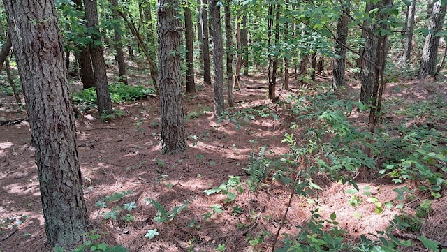 TRACT13 Airport Rd, Piney Creek Acres, Rockwood, TN 37854 - photo 10