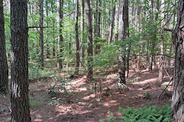 TRACT13 Airport Rd, Piney Creek Acres, Rockwood, TN 37854 - photo 7