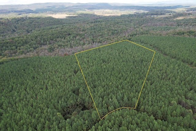 TRACT13 Airport Rd, Piney Creek Acres, Rockwood, TN 37854 - photo 27