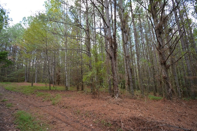 TRACT13 Airport Rd, Piney Creek Acres, Rockwood, TN 37854 - photo 26