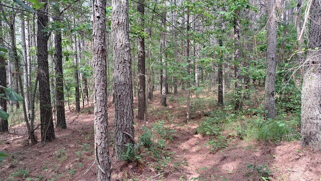 TRACT13 Airport Rd, Piney Creek Acres, Rockwood, TN 37854 - photo 3