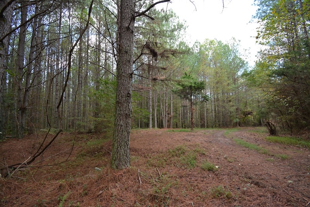 TRACT13 Airport Rd, Piney Creek Acres, Rockwood, TN 37854 - photo 25
