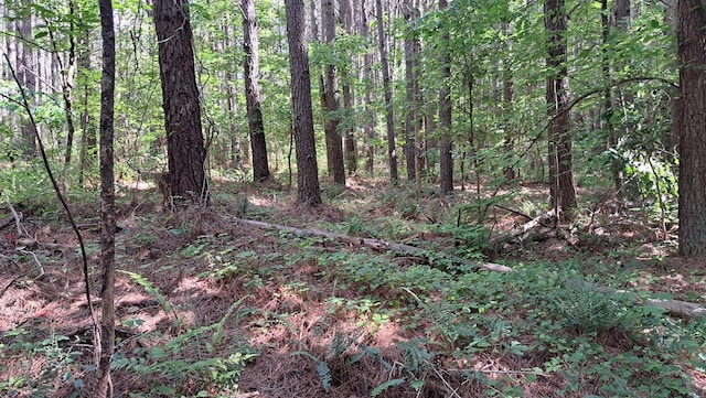 TRACT13 Airport Rd, Piney Creek Acres, Rockwood, TN 37854 - photo 17