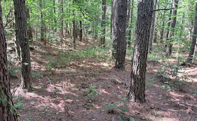TRACT13 Airport Rd, Piney Creek Acres, Rockwood, TN 37854 - photo 6