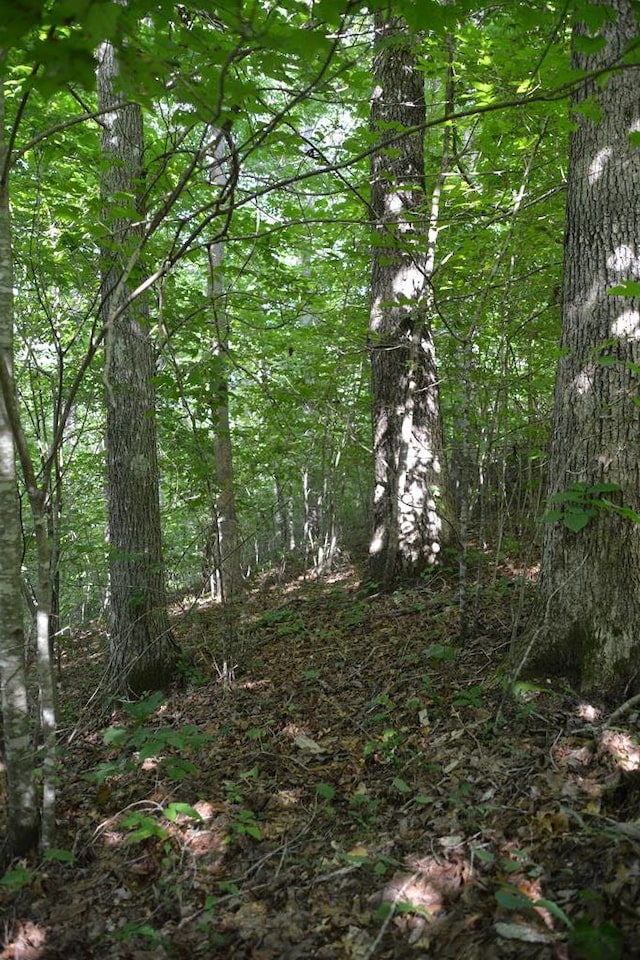 11071 River Dr, Crawford, TN 38554 - photo 17