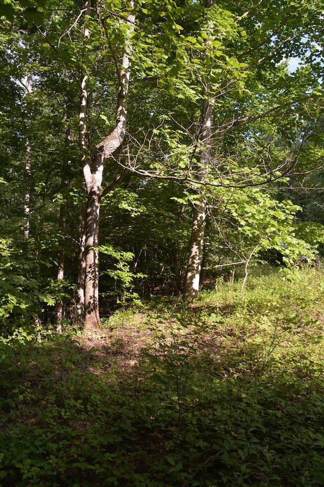 11071 River Dr, Crawford, TN 38554 - photo 15