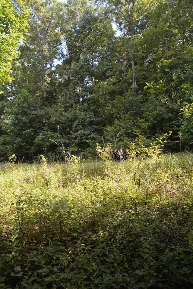 11071 River Dr, Crawford, TN 38554 - photo 14