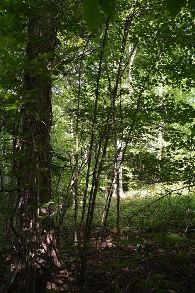 11071 River Dr, Crawford, TN 38554 - photo 13
