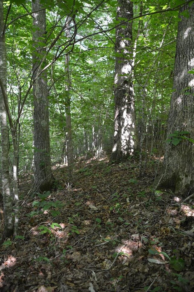 11071 River Dr, Crawford, TN 38554 - photo 16