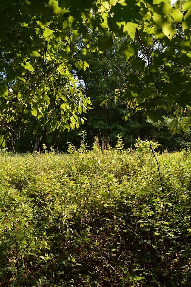 11071 River Dr, Crawford, TN 38554 - photo 21