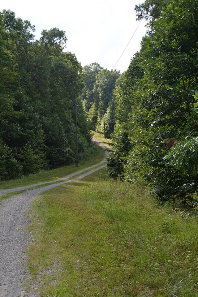 11071 River Dr, Crawford, TN 38554 - photo 3