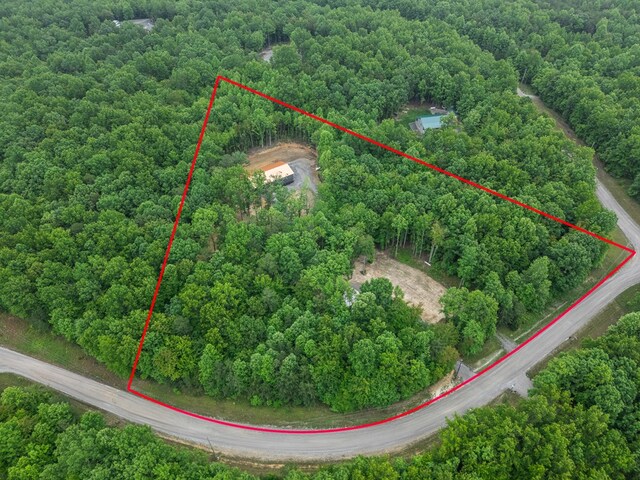 294 Big Piney Loop, Wilder, TN 38589 - aerial view of property and surrounding area featuring a forest and property boundaries highlighted