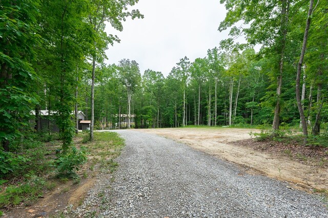 294 Big Piney Loop, Wilder, TN 38589 - view of dirt / gravel driveway with a view of trees