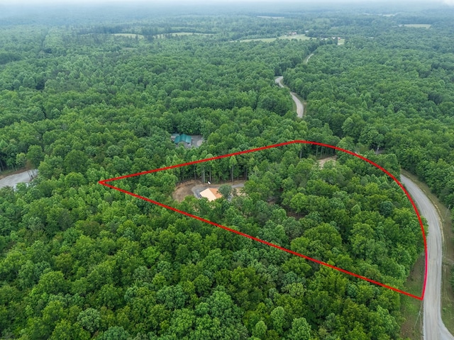 294 Big Piney Loop, Wilder, TN 38589 - view of property location featuring a heavily wooded area and property parcel outlined