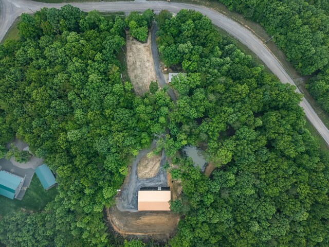 294 Big Piney Loop, Wilder, TN 38589 - view of property location