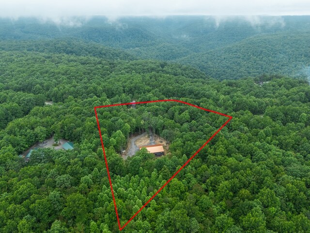 294 Big Piney Loop, Wilder, TN 38589 - aerial overview of property's location with a forest and property parcel outlined