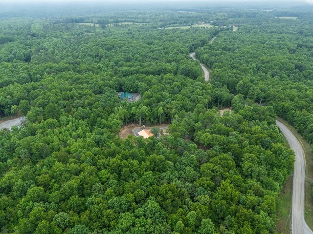294 Big Piney Loop, Wilder, TN 38589 - drone / aerial view of a forest