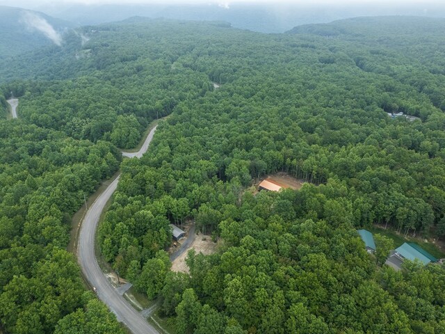 294 Big Piney Loop, Wilder, TN 38589 - drone / aerial view of a forest