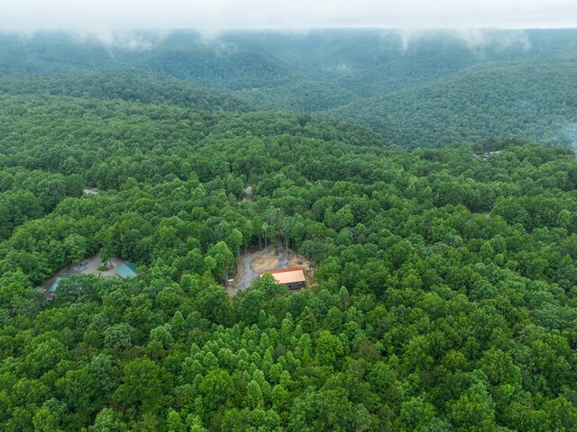 294 Big Piney Loop, Wilder, TN 38589 - aerial view of a forest