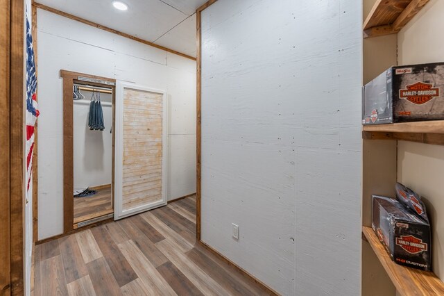 294 Big Piney Loop, Wilder, TN 38589 - hallway featuring wood finished floors and recessed lighting