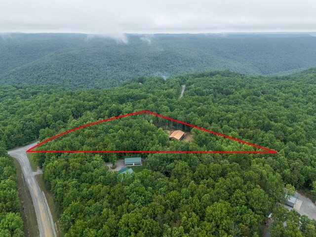 294 Big Piney Loop, Wilder, TN 38589 - aerial overview of property's location with a heavily wooded area and property boundaries highlighted