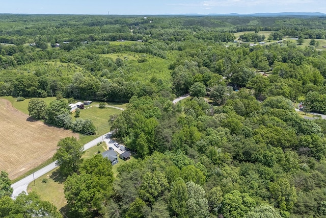 5172 Coal Bank Rd, Sparta, TN 38583 - photo 12