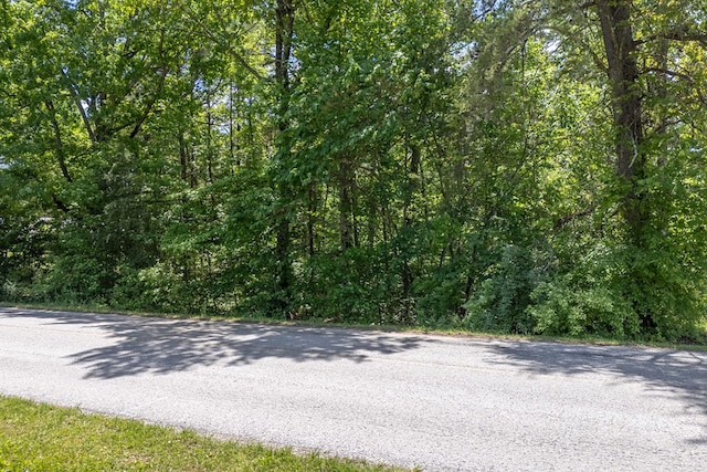 5172 Coal Bank Rd, Sparta, TN 38583 - photo 3