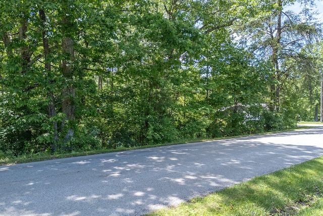 5172 Coal Bank Rd, Sparta, TN 38583 - photo 4