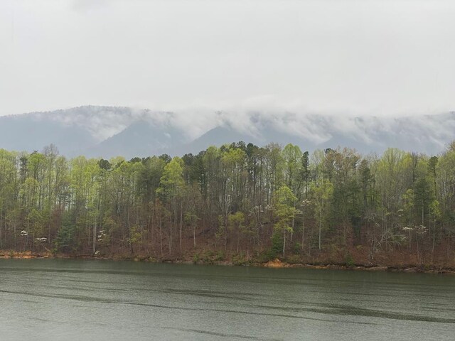 TBD Coves Edge Drive, Butler, TN 37640