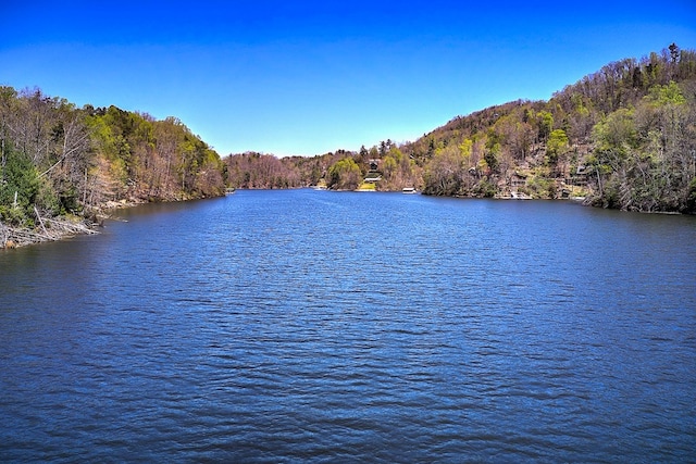 TBD Coves Edge Drive, Butler, TN 37640